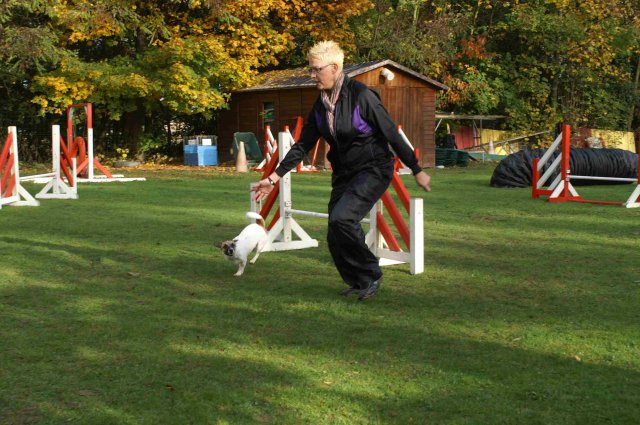 agility 2011-10-30